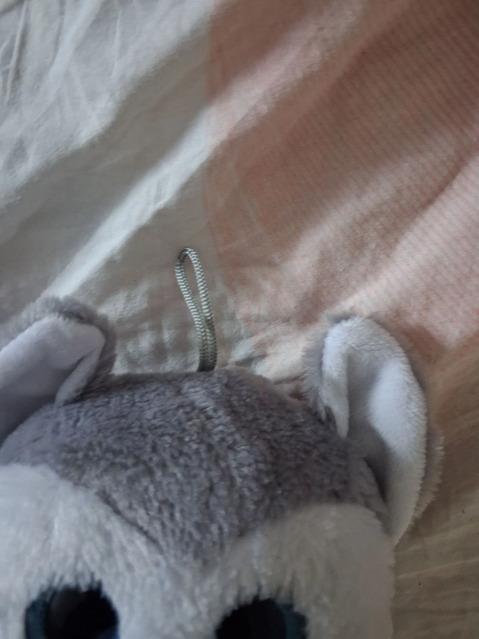 Pelúcia husky – photo 2